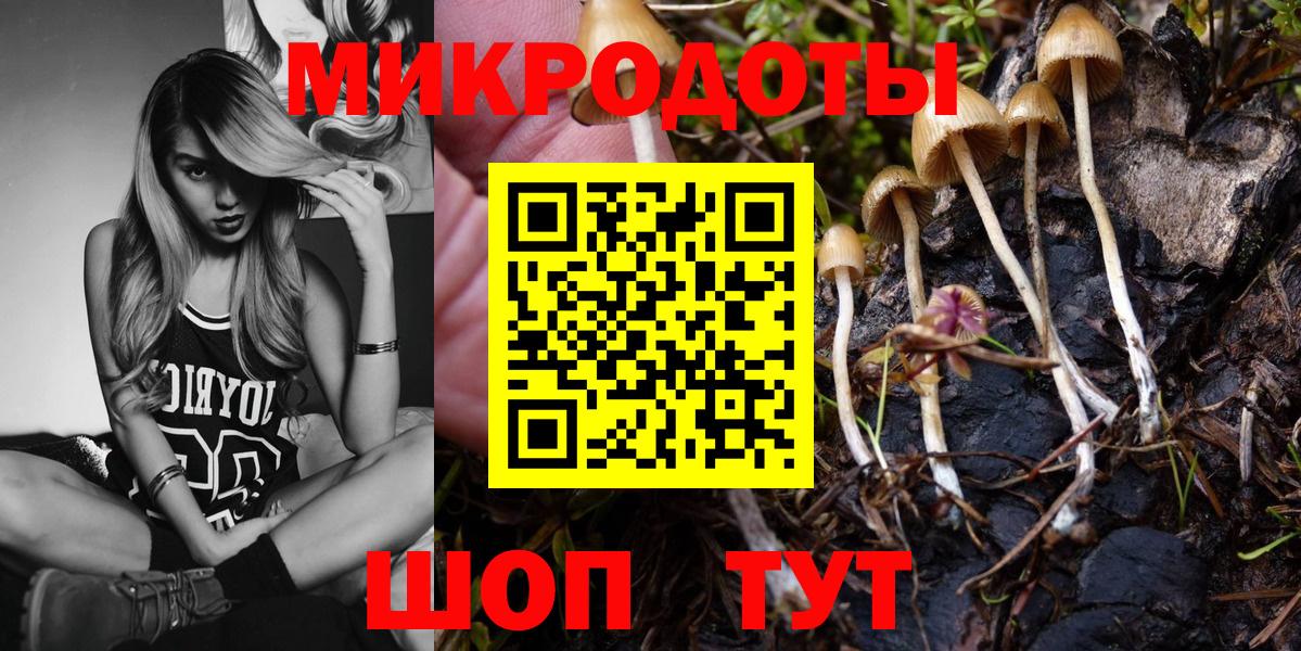Лабытнанги  Псилоцибиновые грибы прущие грибы  Вход с VPN 
